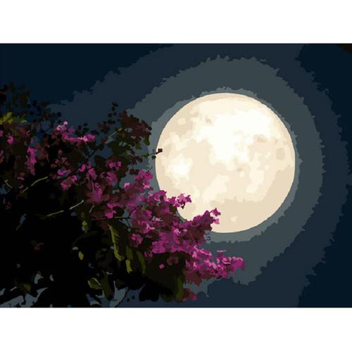 아이윙스-아이윙스 피포페인팅 K100 A 소원 SS2S Moon DIY명화그리기 DIY그림그리기
