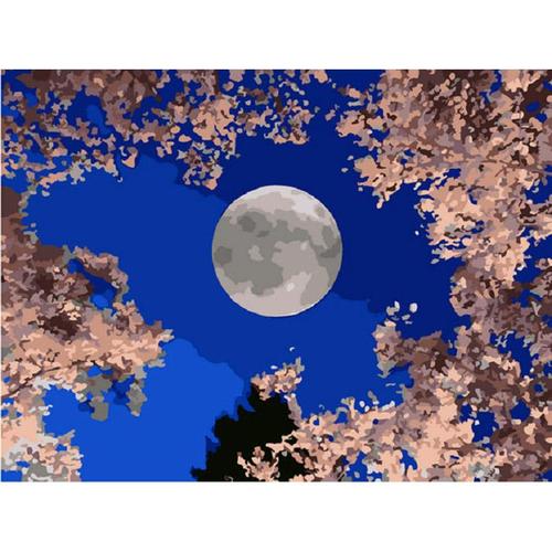 아이윙스-아이윙스 피포페인팅 K100 B 충만 SS2S Moon DIY명화그리기 DIY그림그리기